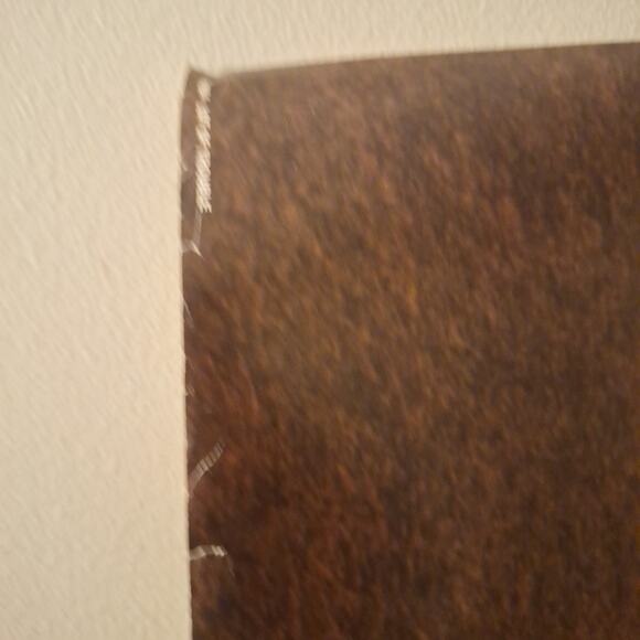 Cute Dogs And Cat Poster. PC0964 "Lot Of Trouble" 34x22 In. - Picture 5 of 5